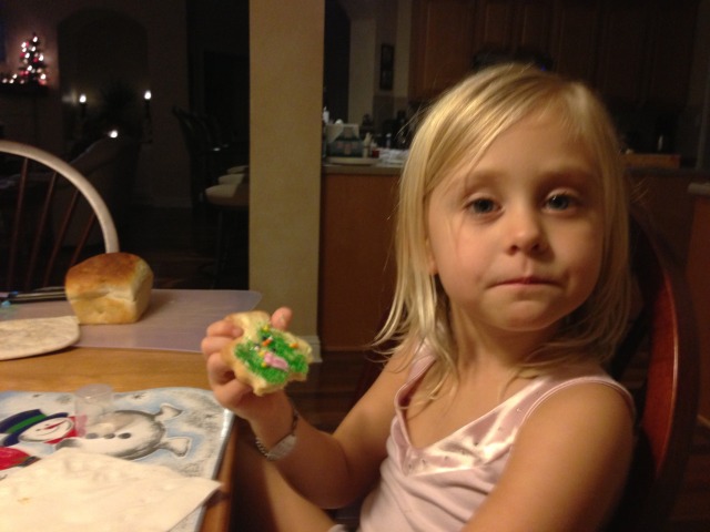 2012/12(Dec)/10(Before Christmas Fun)/640x480_2012-12-08 10 Sydney Ian Visit.jpg
